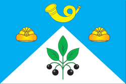 Flag of Zubovskoe (Moscow oblast).png