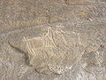 More Qobustan Petroglyphs2.jpg