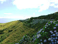 Paisagem da Serra do Topo com a ilha do Pico ao fundo, Topo, ilha de São Jorge, Açores, Portugal.JPG