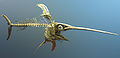 Swordfish skeleton.jpg