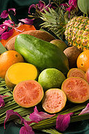 ARS tropical fruit no labels.jpg