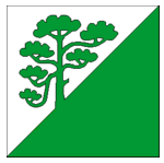 Флаг волости Раазику