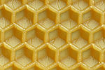 Mittelwand für Bienenwabe 81b.jpg
