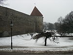 Tallinn-2007-rr-026.jpg