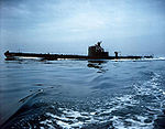 USS Cuttlefish SS171.jpg