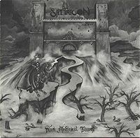 Обложка альбома «Dark Medieval Times» (Satyricon, 1994)