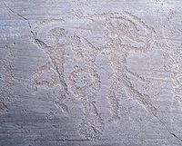 Petroglyphs in Nadro