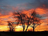 West Texas Sunrise.jpg