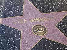 Liza Hollywood Walk Of Fame.JPG