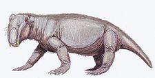 Листрозавр (лат. «копающая рептилия»).