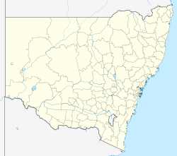 Сидней (Новый Южный Уэльс)