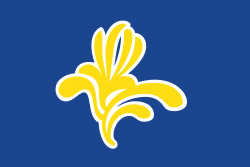 Флаг Брюссельского столичного региона