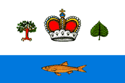 Flag of Vashkinsky rayon (Vologda oblast).png