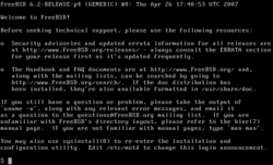 Снимок терминала FreeBSD