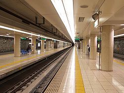 Kiyosumi-shirakawa-station platform oedo-line.jpg