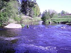 Река Коваш в районе ж/д платформы «80 км» в г. Сосновый Бор