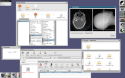 Скриншот MidnightBSD 0.1 с рабочим столом Etoile