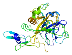 Protein F10 PDB 1c5m.png