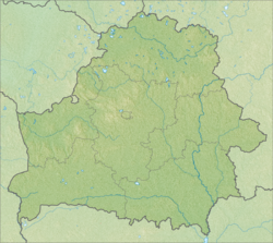 Пина (приток Припяти) (Белоруссия)