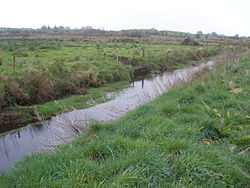 River Robe, Keebagh, facing downstream.jpg
