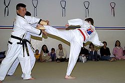Taekwondo1.jpg