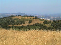 View to Gabrovo from Furgovtsi.jpg