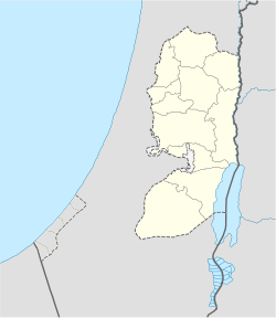 Дженин (Западный берег реки Иордан)