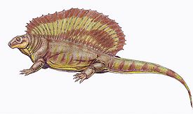 Эдафозавры