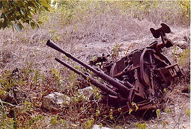 Японское оружие со времен Второй Мировой войны на Комманд-Ридж
