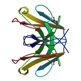 PBB Protein NTRK1 image.jpg