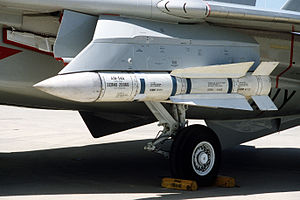 AIM-54A (left) on F-14 at NAS Pax 1984.JPEG