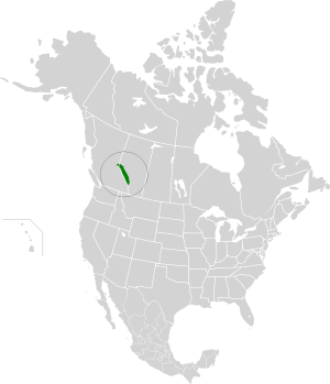 Alberta Mountain forests map.svg