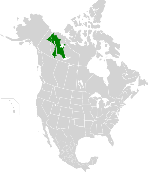 Northwest Territories taiga map.svg