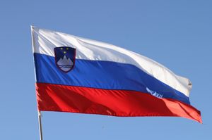 Slovenska zastava.JPG
