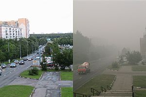Смог от природных пожаров в Москве (2010)