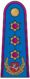 Antpetis oro 18 generolas leitenantas.png