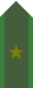 SWE-Army-OF1b.png