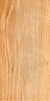 Wood Carpinus betulus.jpg