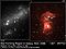 NGC 2366HST.jpg